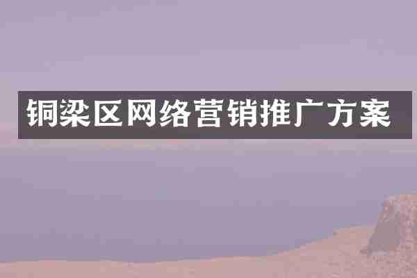 铜梁区网络营销推广方案