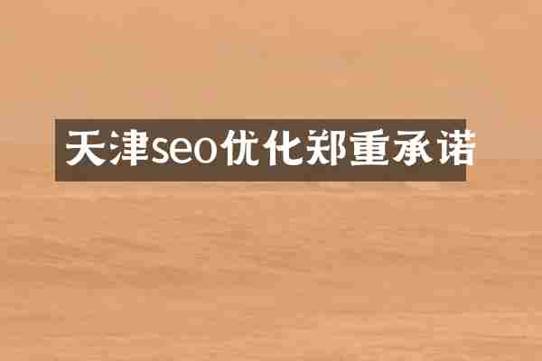 天津seo优化郑重承诺