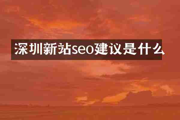 深圳新站seo建议是什么