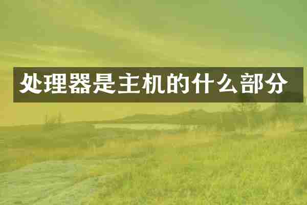 处理器是主机的什么部分