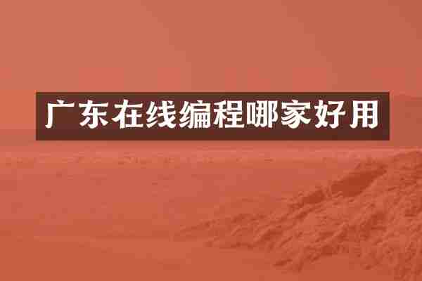 广东在线编程哪家好用