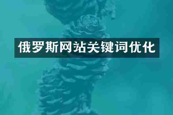 俄罗斯网站关键词优化