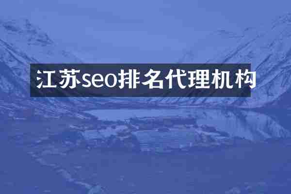 江苏seo排名代理机构
