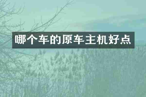 哪个车的原车主机好点