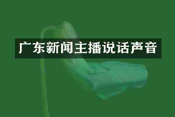 广东新闻主播说话声音