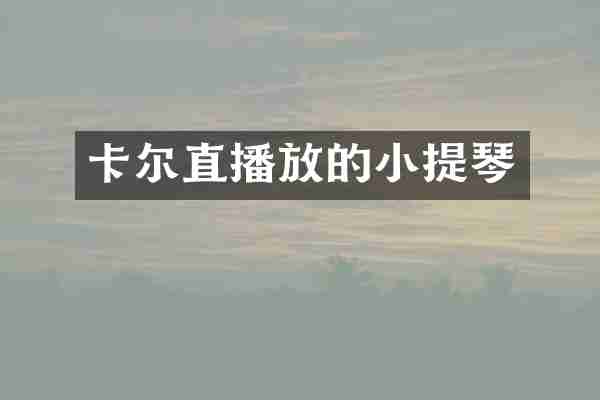 卡尔直播放的小提琴