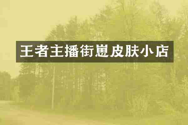 王者主播街崽皮肤小店