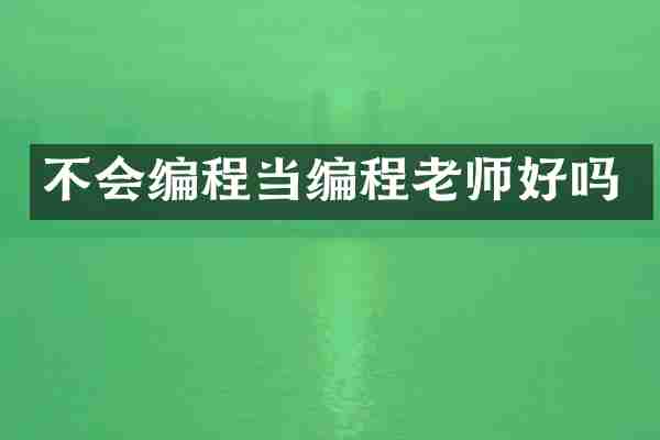 不会编程当编程老师好吗