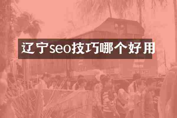 辽宁seo技巧哪个好用