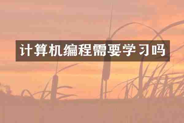 计算机编程需要学习吗
