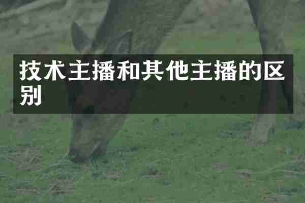 技术主播和其他主播的区别