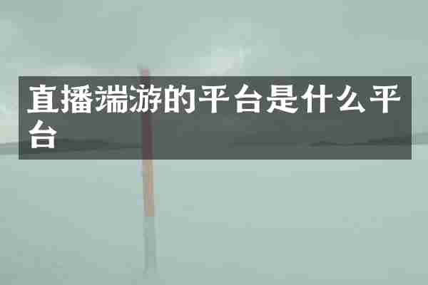 直播端游的平台是什么平台
