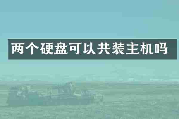 两个硬盘可以共装主机吗