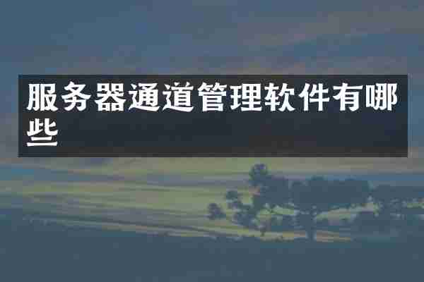服务器通道管理软件有哪些