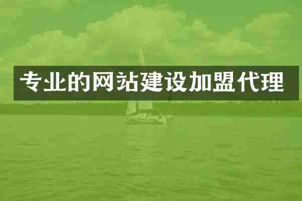 专业的网站建设加盟代理