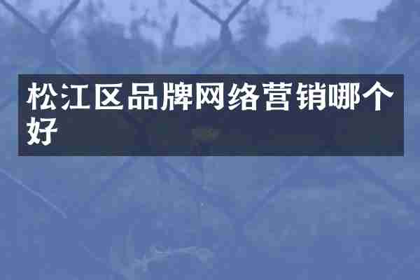 松江区品牌网络营销哪个好