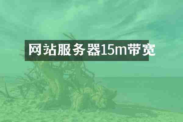 网站服务器15m带宽