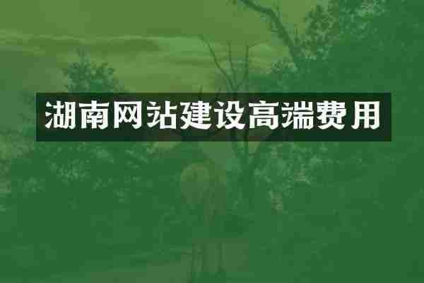 湖南网站建设高端费用