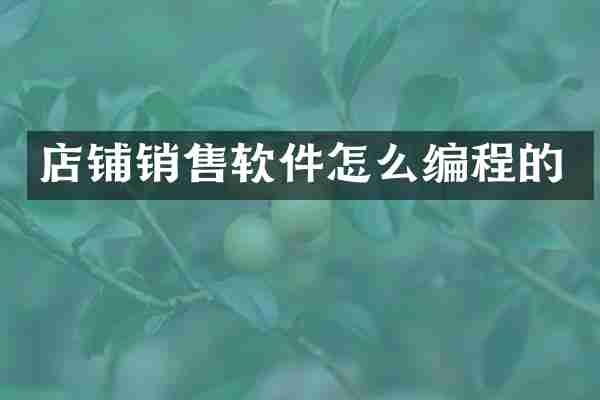 店铺销售软件怎么编程的