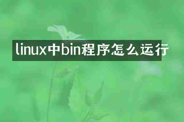 linux中bin程序怎么运行