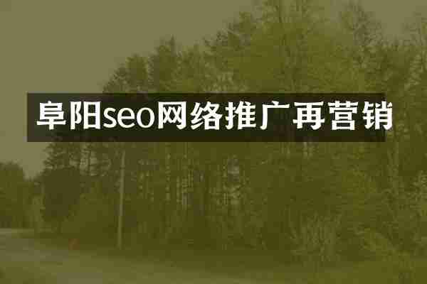阜阳seo网络推广再营销