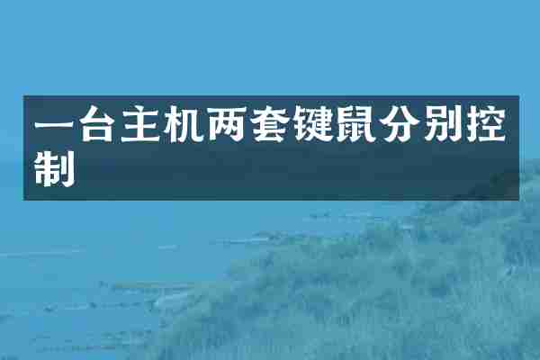 一台主机两套键鼠分别控制