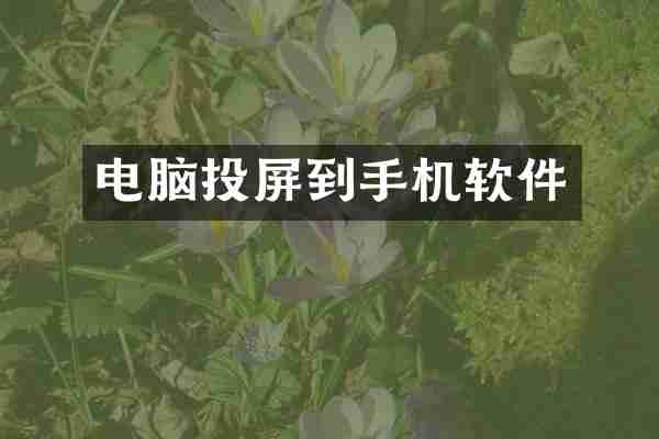 电脑投屏到手机软件
