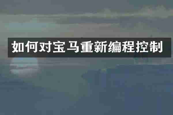 如何对宝马重新编程控制