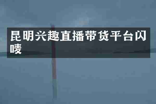 昆明兴趣直播带货平台闪唛