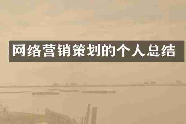 网络营销策划的个人总结