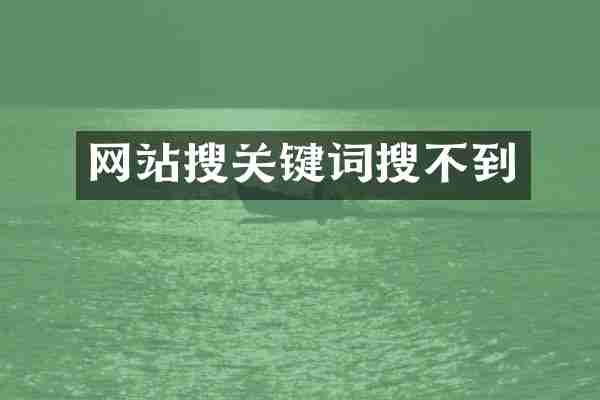 网站搜关键词搜不到