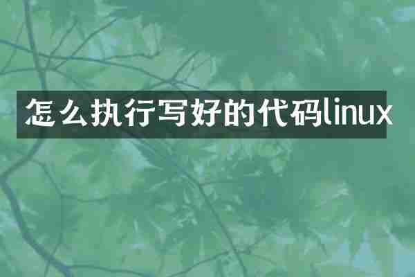 怎么执行写好的代码linux