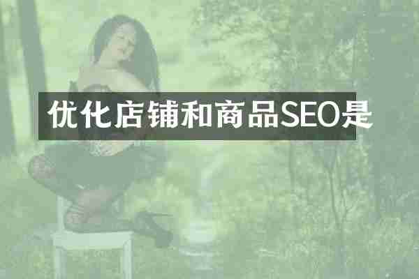 优化店铺和商品SEO是