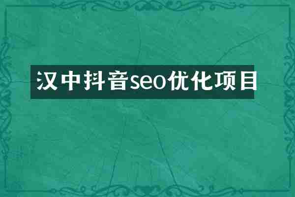 汉中抖音seo优化项目