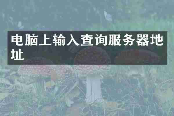 电脑上输入查询服务器地址