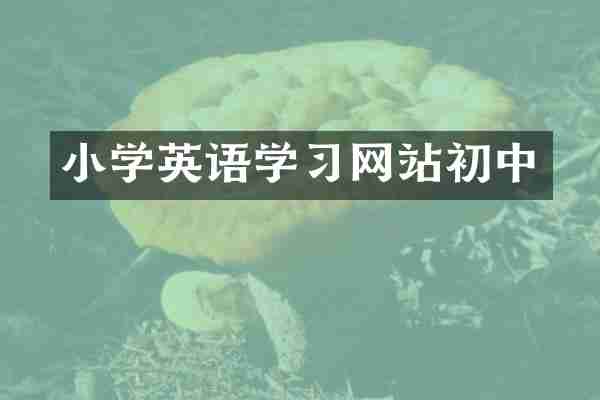小学英语学习网站初中