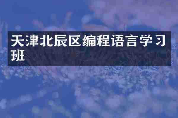天津北辰区编程语言学习班