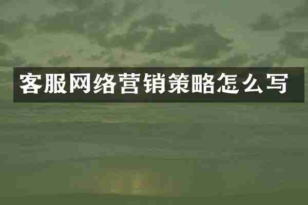 客服网络营销策略怎么写