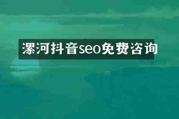 漯河抖音seo免费咨询