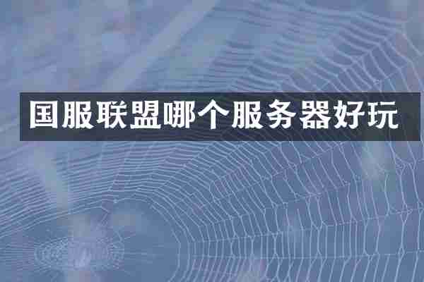 国服联盟哪个服务器好玩