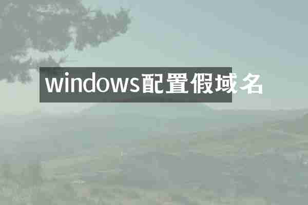 windows配置假域名