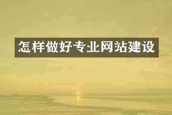 怎样做好专业网站建设