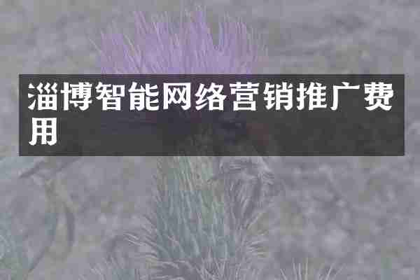 淄博智能网络营销推广费用