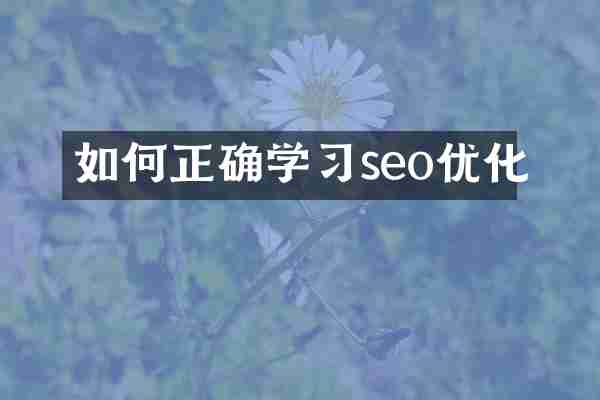 如何正确学习seo优化