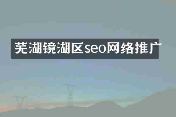 芜湖镜湖区seo网络推广