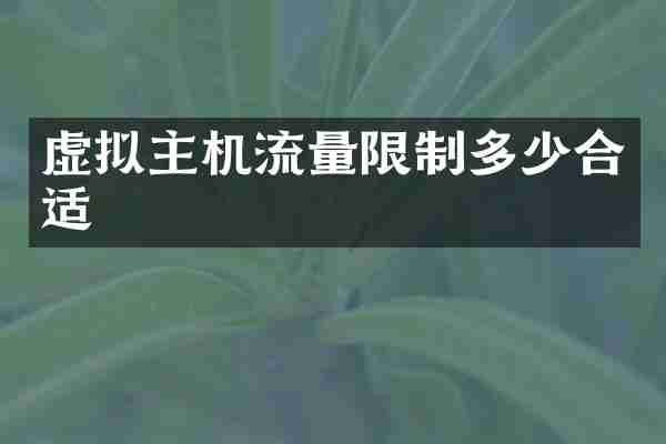 虚拟主机流量限制多少合适