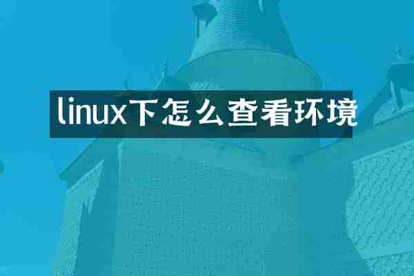 linux下怎么查看环境