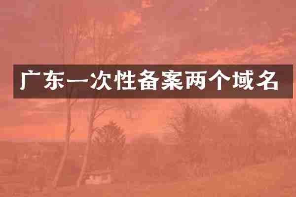 广东一次性备案两个域名