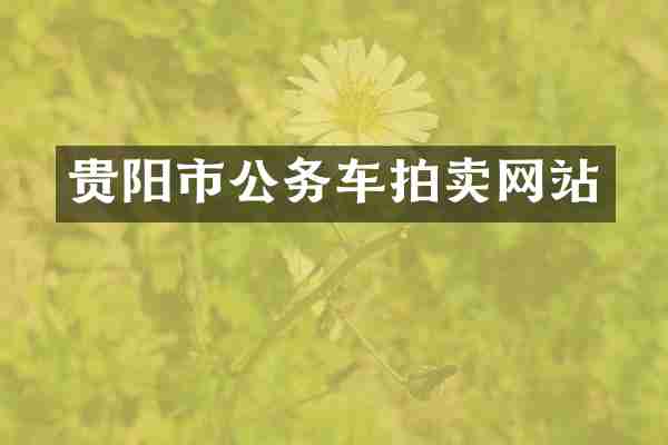 贵阳市公务车拍卖网站