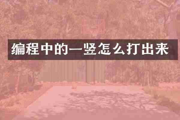 编程中的一竖怎么打出来